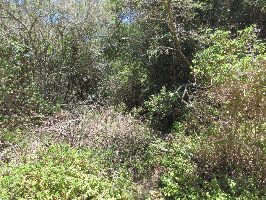 0 Bedroom Property for Sale in Bathurst Eastern Cape